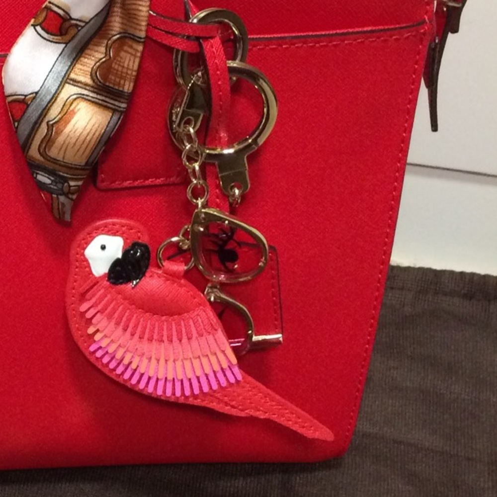 Parrot & sunglasses